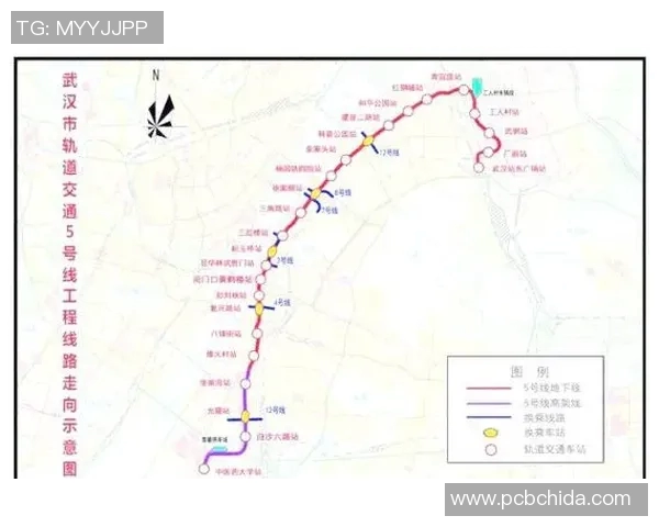 武汉排球队状态分析与表现评估探讨及未来发展建议