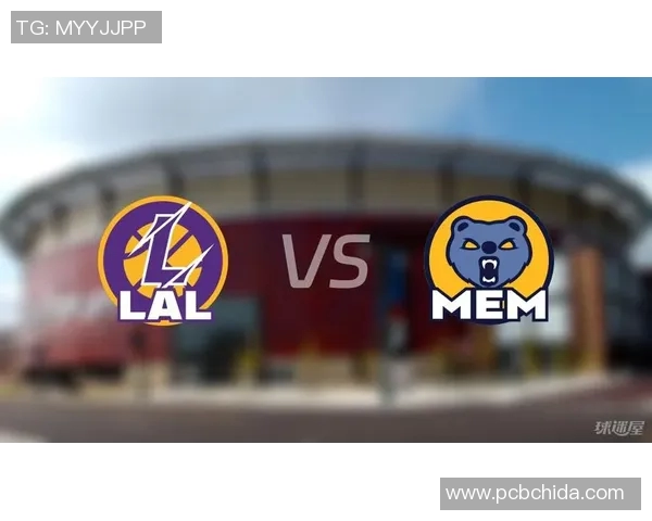 2009年NBA季后赛灰熊对决湖人精彩回顾与赛季亮点分析 2009年NBA季后赛灰熊对决湖人精彩回顾与赛季亮点分析