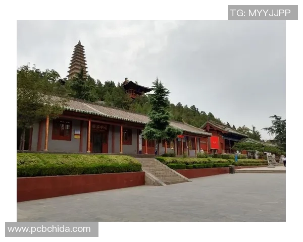 倪永康的政治生涯与影响力探讨:从官场风云到历史评价的全景分析 倪永康的政治生涯与影响力探讨:从官场风云到历史评价的全景分析