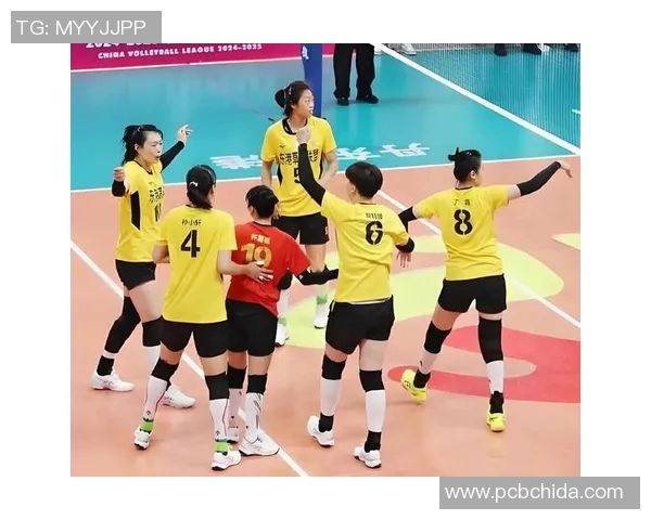 2012年辽宁女排与恒女排激战回顾：巅峰对决的荣耀与挑战