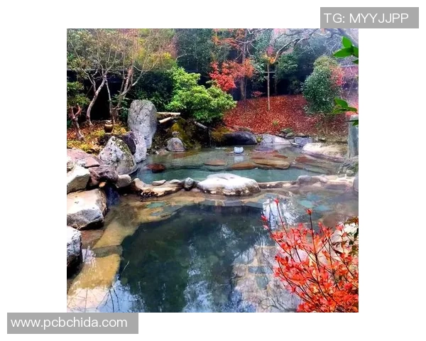 枥木县与群马县温泉的魅力对决探秘日本温泉文化的独特魅力与体验